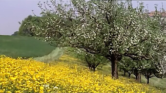 Vintage Pełny Film Uczennic Jedzących I Masturbujących Się