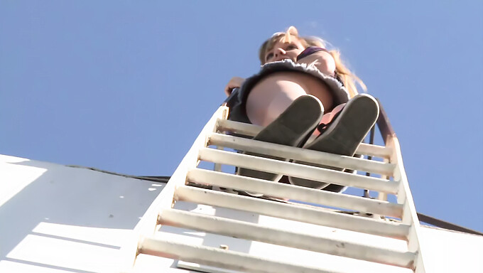 Bill Bailey's passionate encounter on a rooftop deck